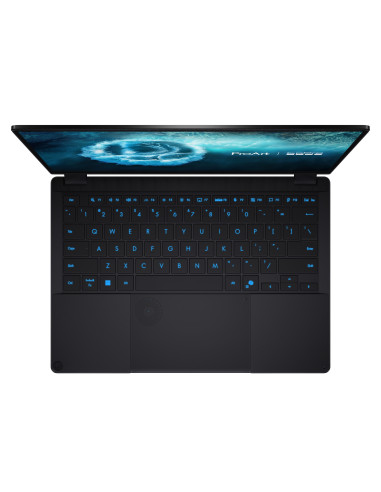 ASUS ProArt PX13/GoPro Edition (HN7306EAC)/AIMAXPLUS-395/13,3"/2880x1800/T/128GB/1TB/AMD int/W11P/Bl