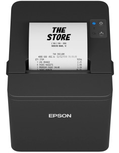 Epson TM-T20IV (101): USB + Serial, PS, Blk, EÚ