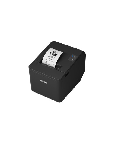 Epson TM-T20IV (101): USB + Serial, PS, Blk, EÚ