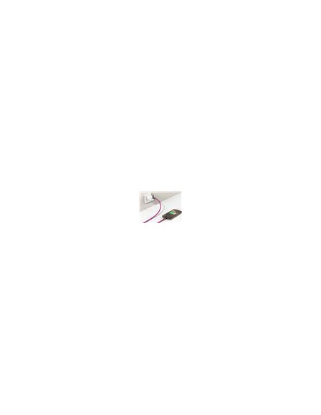 Snake Lanyard Pink