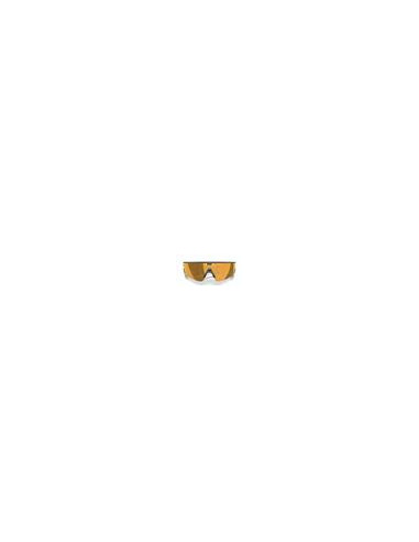 Meta Oakley Vanguard prizm 24k Lenses, black Frame