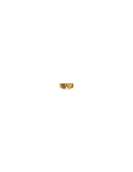 Meta Oakley Vanguard prizm 24k Lenses, black Frame
