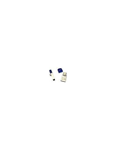 Dell 256GB USB 3.0 A/C Flash disk