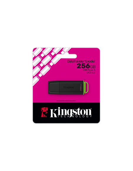 Kingston DataTraveler Exodia/256GB/USB 3.2/USB-A/Čierna