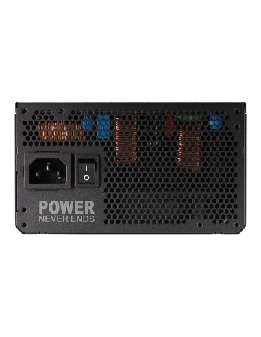 FSP VITA PM/1000W/ATX 3.1/80PLUS Platinum/Modular/Retail