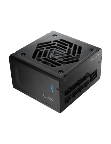 FSP VITA PM/1000W/ATX 3.1/80PLUS Platinum/Modular/Retail