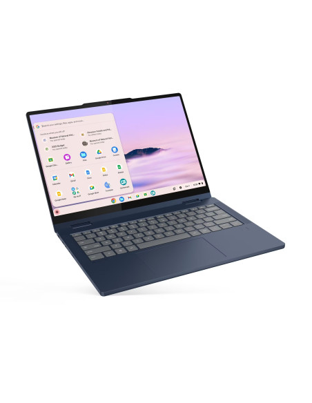 Lenovo Chrome 2in1 T/14ITN10/3-N355/14"/WUXGA/T/8GB/256GB/Intel int/Chrome/Blue/2R