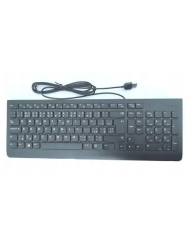 Lenovo Essential Wired Keyboard/Drátové USB-A/CZ/SK/Černá