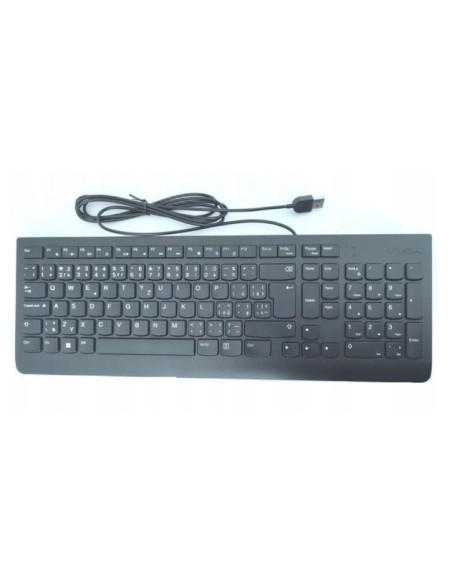 Lenovo Essential Wired Keyboard/Drátové USB-A/CZ/SK/Černá