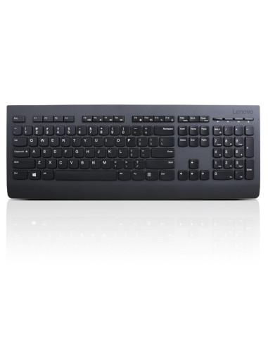 Lenovo Professional Wireless Keyboard/Bezdrátové USB/CZ/SK/Černá