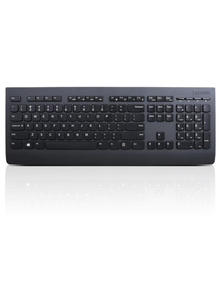 Lenovo Professional Wireless Keyboard/Bezdrátové USB/CZ/SK/Černá