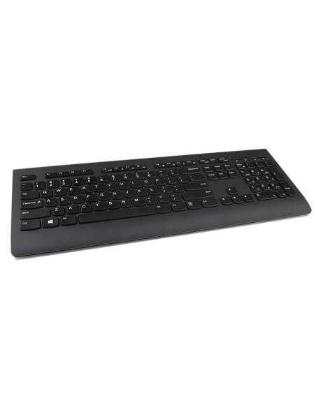Lenovo Professional Wireless Keyboard/Bezdrátové USB/CZ/SK/Černá