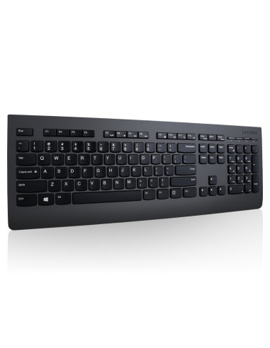 Lenovo Professional Wireless Keyboard/Bezdrátové USB/CZ/SK/Černá