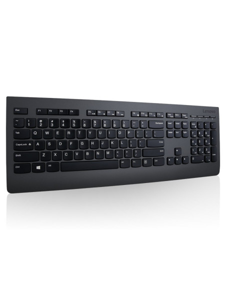 Lenovo Professional Wireless Keyboard/Bezdrátové USB/CZ/SK/Černá
