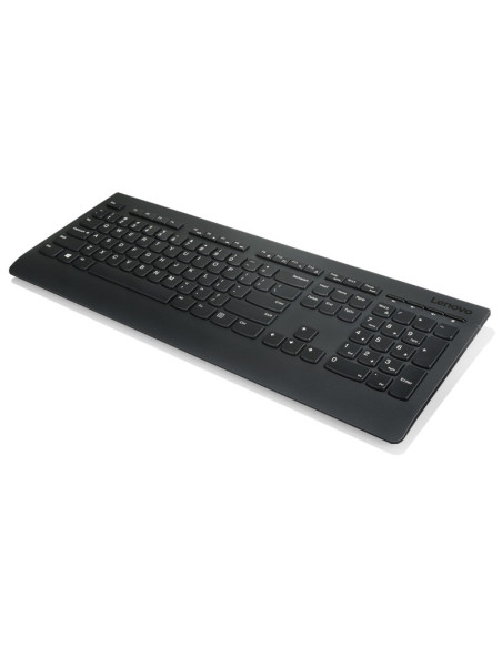 Lenovo Professional Wireless Keyboard/Bezdrátové USB/CZ/SK/Černá