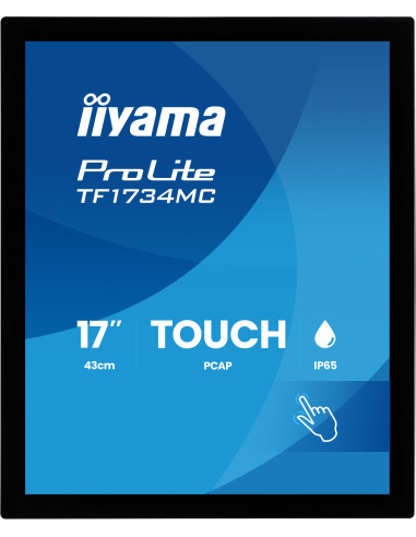 17" iiyama TF1734MC-B8X