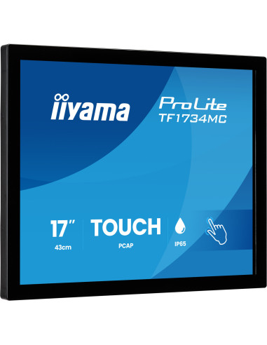 17" iiyama TF1734MC-B8X