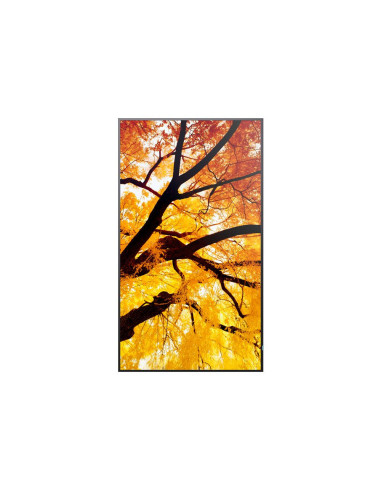 32" LED NEC M322,1920x1080,IPS,24/7,450cd