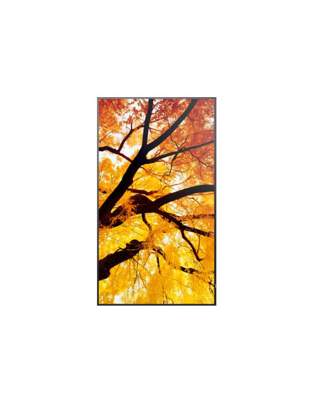 32" LED NEC M322,1920x1080,IPS,24/7,450cd