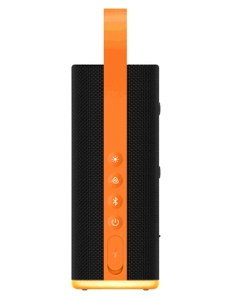 Xiaomi Sound Play (18W) Black