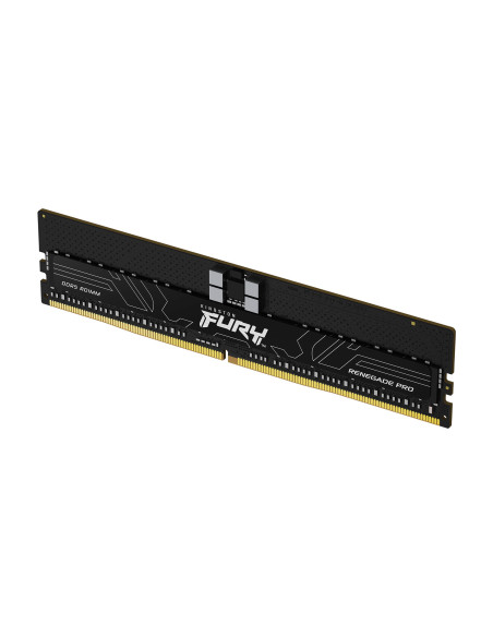 Kingston FURY Renegade Pro/DDR5/32GB/5600MHz/CL36/1x32GB/Black