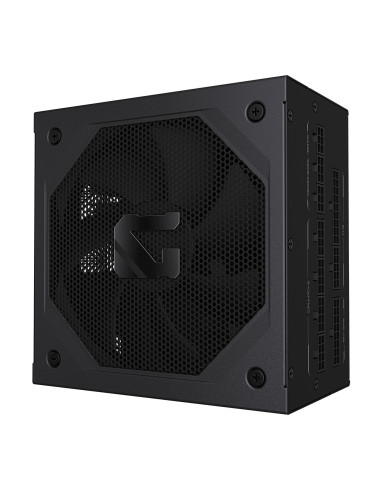 GIGABYTE GAMING 1000W 80PLUS Gold Modular