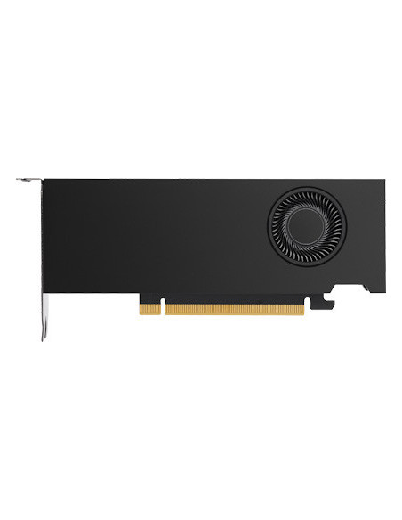 HP NVIDIA RTX A2000 12GB 4mDP GFX