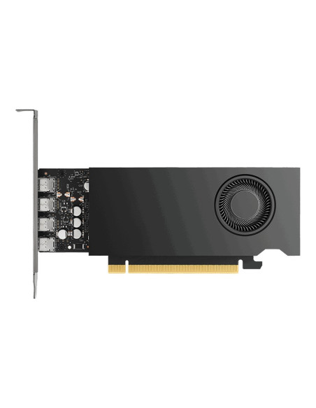 HP GFX NVIDIA RTX 2000 ADA 16GB 4MDP