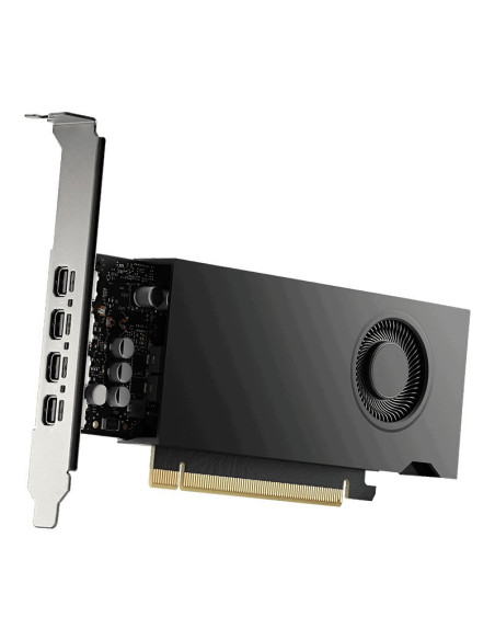 HP GFX NVIDIA RTX 2000 ADA 16GB 4MDP