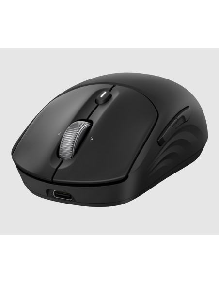 HP 705 Rechargeable Wireless Mouse