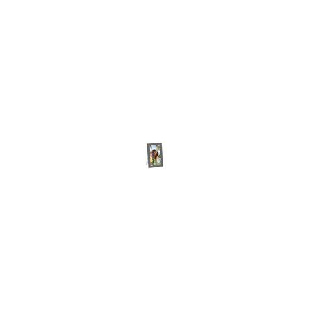 NETGEAR MEURAL CANVAS GEN3 15 GREY WALNUT