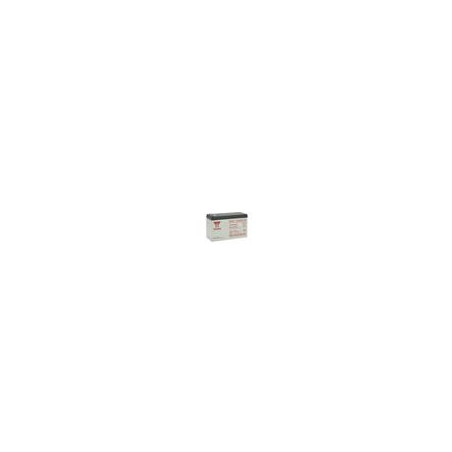 Batéria YUASA NPW45-12 (12V; 45W/čl.; 9Ah; faston F2)
