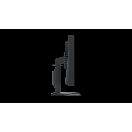 EIZO FlexScan/S1934H/19,0"/IPS/1280x1024/61Hz/14ms/Black/5R
