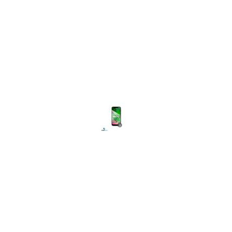 Screenshield MOTOROLA Moto G7 POWER XT1955-4 fólia na displej