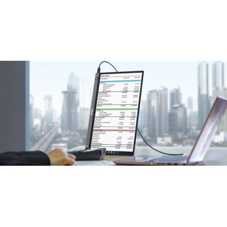 15,6|| WLED ASUS MB16AHP