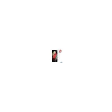 Screenshield Anti-Bacteria SAMSUNG G998 Galaxy S21 Ultra 5G fólia na displej
