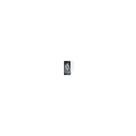 Screenshield ONEPLUS 12R fólia na displej