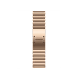 Watch Acc/42/Gold Link Bracelet