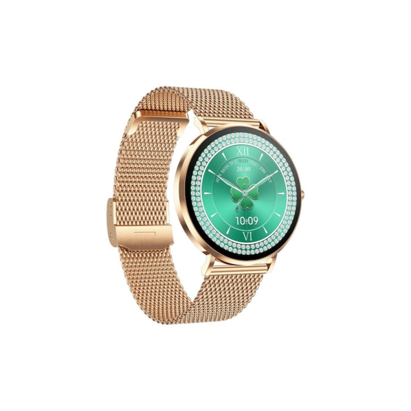 CARNEO Phoenix HR+ 2nd Gen/41mm/Gold/Elegant Band/Gold