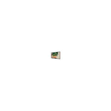 43" D-LED Philips 43BDL4511D-UHD, IPS, 500cd, MP, 24/7
