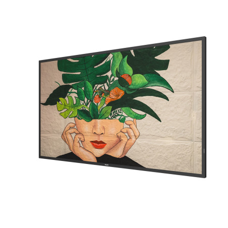 50" D-LED Philips 50BDL4511D-UHD, VA, 500cd, MP, 24/7