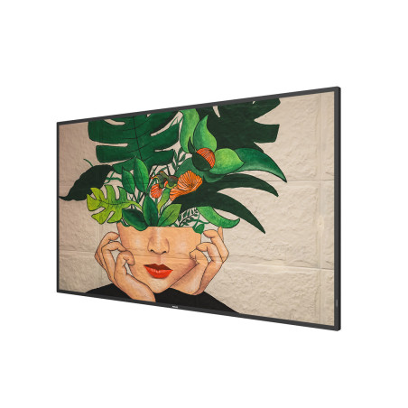 55" D-LED Philips 55BDL4511D-UHD, VA, 500cd, MP, 24/7