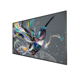 65" D-LED Philips 65BDL3511Q-UHD, IPS, 400cd, MP, 18/7