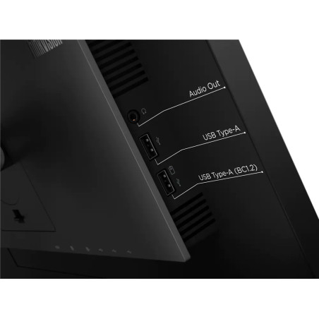 Lenovo ThinkVision/P24q-20/23,8"/IPS/QHD/60Hz/6ms/Black/3R