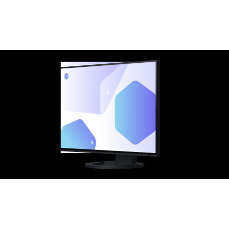 EIZO FlexScan/EV2485/24"/IPS/FHD/60Hz/5ms/Black/5R