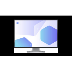 EIZO FlexScan/EV2485/24"/IPS/FHD/60Hz/5ms/White/5R