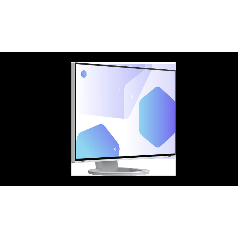 EIZO FlexScan/EV2485/24"/IPS/FHD/60Hz/5ms/White/5R