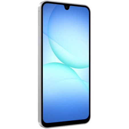 Samsung Galaxy A17 LTE/4GB/128GB/Gray