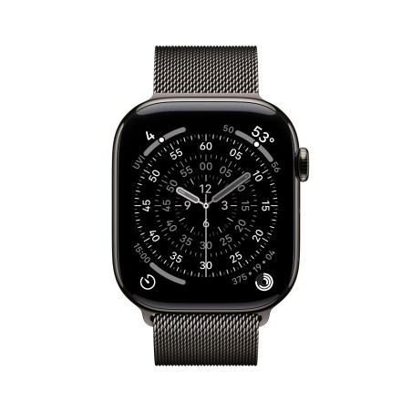 Apple Watch S11 Cell/46/Elegant Band/Slate
