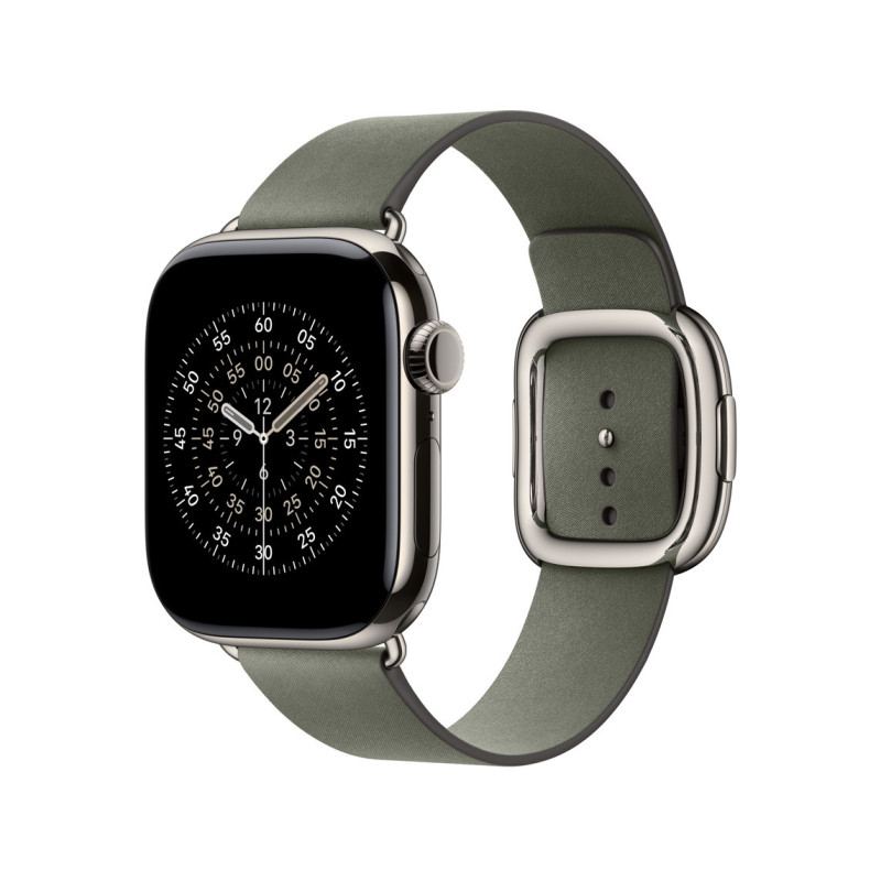 Watch Acc/42/Sage Gray Modern Buckle - S